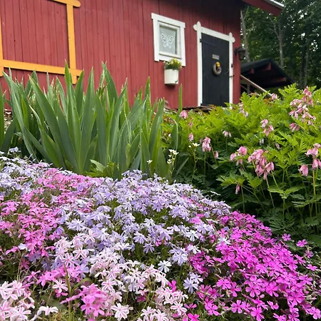 Savikulma فندق مبيت وإفطار Mynamaki