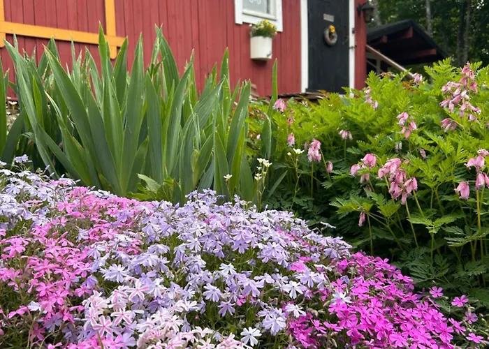 Savikulma Oda ve Kahvaltı Mynamaki